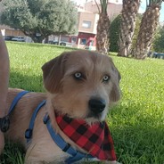 giffo_06