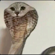 Phil1y