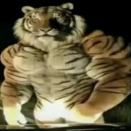 TREN TIGER CSGOSKINS