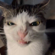 cheesebooger