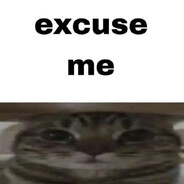 Hey Buddy