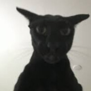 Peenar Snipper Cat