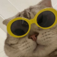 R4KI3T4