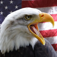 RAAAAAHHHH 🇺🇸 🦅🦅🦅