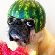MrMelonMoon
