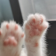 Kiki怎么这么菜