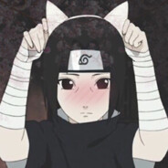 Neko :3