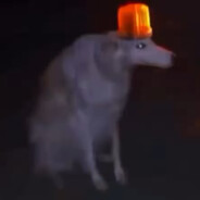 Hopbs