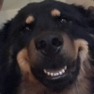 Fighi