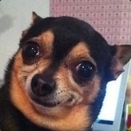 BOT Doggy