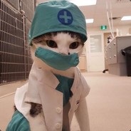 BobHat Jr.