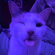 Jollu