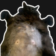 Puñeta