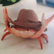 Howdy SaNDNoGGa