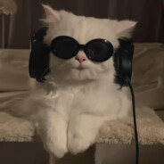 FizzyRA