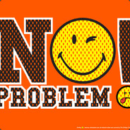 Mr No Problem