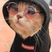 sKat
