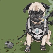 Battle-Pug