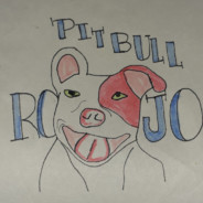Pitbull Rojo