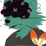 raccoonsintokyo