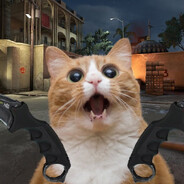 MikeCat