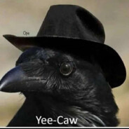 BirdBrain