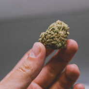BlinKinGOD. 420PEEK!