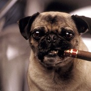 Black Doggy