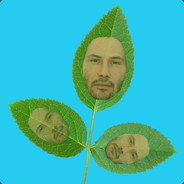 Keanu Leaves