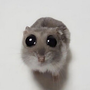 Zimber(ральд)