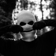 decoy.