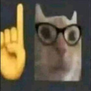 Frijolito