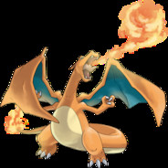 DGH Charizard. Jagtbar