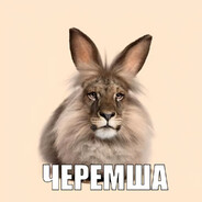 черемша