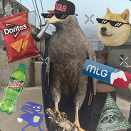 MLGBlackBird