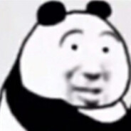陪陪培培