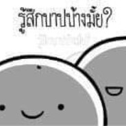 Meow | Rollipop