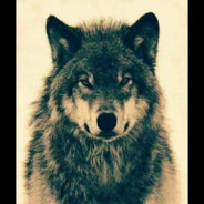 Auuu-WoLf/KuRt