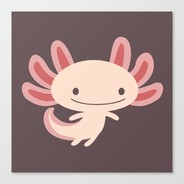 Axolotl.