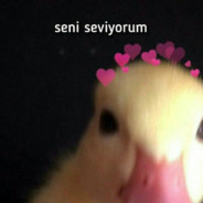 canerimsi