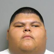 fat bitch