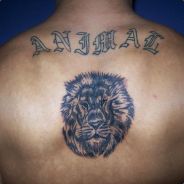 *Animal* < Buddah words >