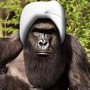 Boko Harambe